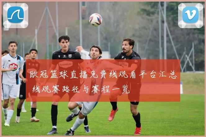 欧冠篮球直播免费线观看平台汇总 线观赛路径与赛程一览