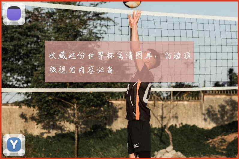 收藏这份世界杯高清图库,打造顶级视觉内容必备