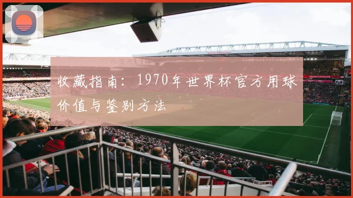 收藏指南：1970年世界杯官方用球价值与鉴别方法