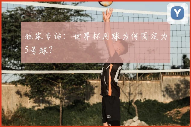 独家专访：世界杯用球为何固定为5号球？