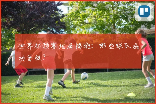 世界杯预赛结局揭晓：哪些球队成功晋级？