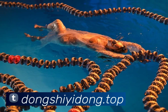 西班牙1-5荷兰:聚焦2014年世界杯那场改写卫冕冠军命运的经典之战